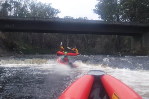 Twin Rivers Winter Adventure - Gold Coast Attractions 4