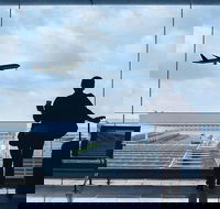 Private Transfer Avalon International Airport AVV to Melbourne - Gold Coast Attractions