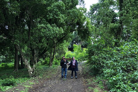 Alices Journeys Guided Walking Tours Of Daylesford - Gold Coast Attractions 5