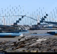 Geelong Helicopter Joy Flights - Gold Coast Attractions