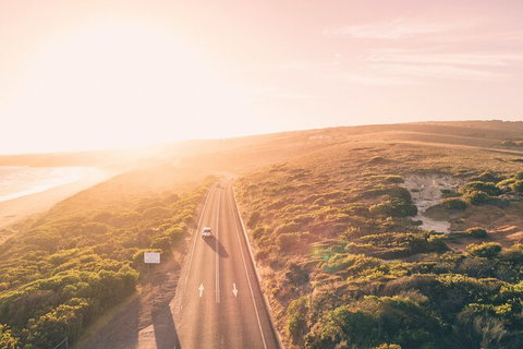 LGBT+ Friendly 2 Day Private Great Ocean Road Tour - Gold Coast Attractions 1