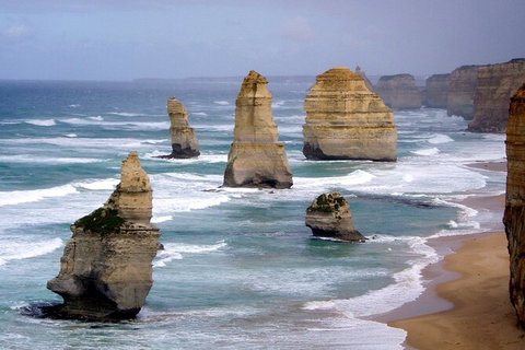 LGBT+ Friendly 2 Day Private Great Ocean Road Tour - Gold Coast Attractions 0