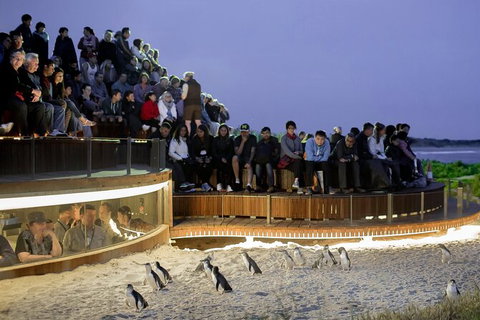LGBT+ Friendly Full Day Phillip Island Private Tour - Gold Coast Attractions 0