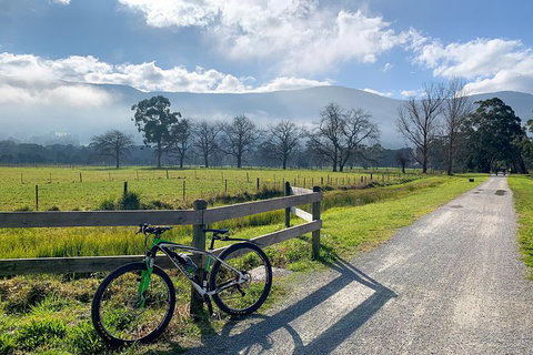 Aqueduct And Rail Trail Self-Guided Bike Tour In Warburton - Gold Coast Attractions 5