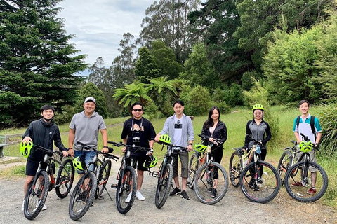 Aqueduct And Rail Trail Self-Guided Bike Tour In Warburton - Gold Coast Attractions 0