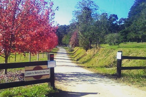 Aqueduct And Rail Trail Self-Guided Bike Tour In Warburton - Gold Coast Attractions 4
