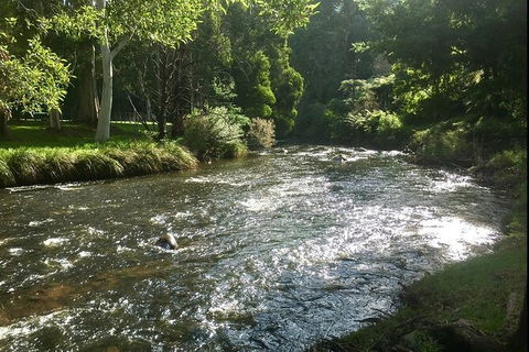 Watertube Experience In Yarra River - Gold Coast Attractions 3