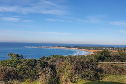 Private Great Ocean Road And Chocolaterie Tour With Tasting - Gold Coast Attractions 5
