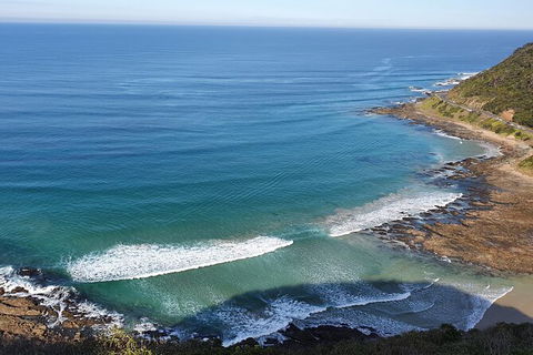 Private Great Ocean Road And Chocolaterie Tour With Tasting - Gold Coast Attractions 7