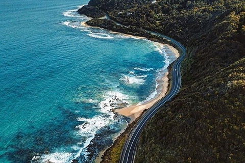 Private Great Ocean Road And Chocolaterie Tour With Tasting - Gold Coast Attractions 6