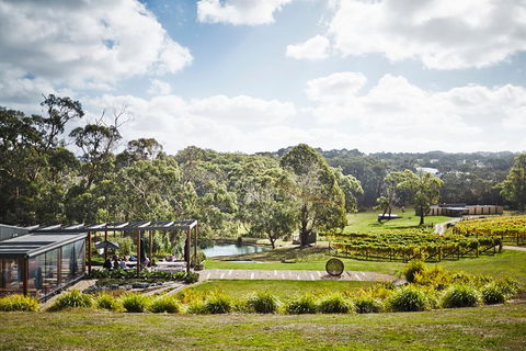 Mornington Peninsula 2-6 Guests Lunch, Wine And Pt Leo Estate Art Walk - Gold Coast Attractions 2
