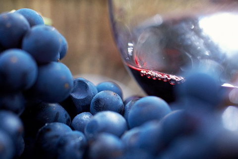 Mornington Peninsula Premium 2-6 Guests Lunch At Merricks General Wine Store - Gold Coast Attractions 7