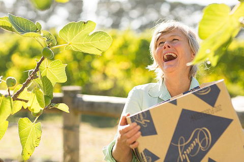 Mornington Peninsula 2-6 Guests Lunch And Inc Wine Tasting At Quealy Winemakers - Gold Coast Attractions 4