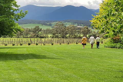 Yarra Valley Wine Tasting Day Tour From Melbourne - Gold Coast Attractions 6