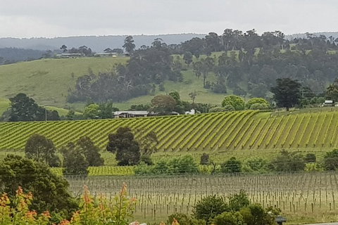 Yarra Valley Wine Tasting Day Tour From Melbourne - Gold Coast Attractions 0
