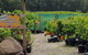 Yarra Valley Wineries And Rayners Orchard Tour From Melbourne - thumb 0