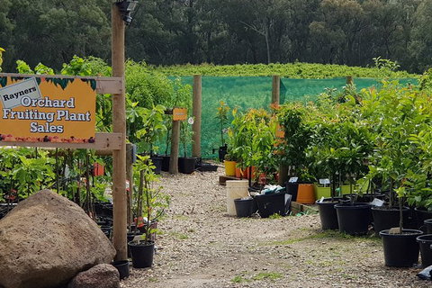 Yarra Valley Wineries And Rayners Orchard Tour From Melbourne - Gold Coast Attractions 0