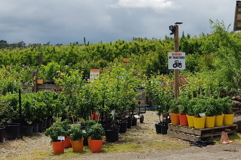 Yarra Valley Wineries And Rayners Orchard Tour From Melbourne - Gold Coast Attractions 22