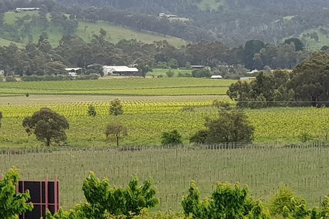Yarra Valley Wineries And Rayners Orchard Tour From Melbourne - Gold Coast Attractions 2