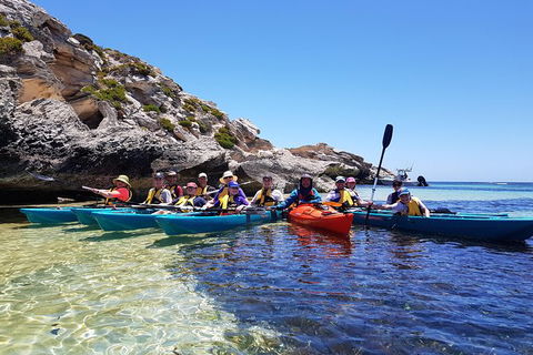 Rottnest Glass Bottom Kayaking Tour - Gold Coast Attractions 0