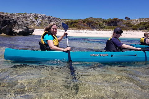 Rottnest Glass Bottom Kayaking Tour - Gold Coast Attractions 2