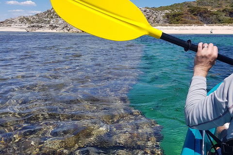 Rottnest Glass Bottom Kayaking Tour - Gold Coast Attractions 3