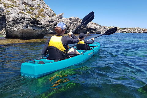 Rottnest Glass Bottom Kayaking Tour - Gold Coast Attractions 4
