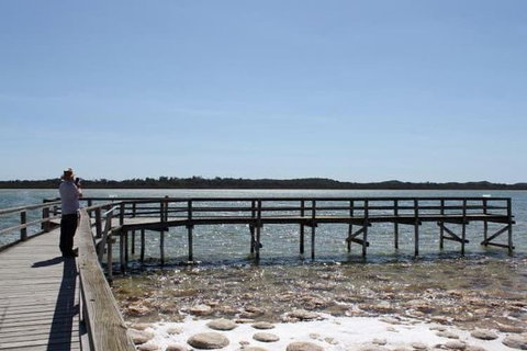 Busselton And Scenic Drive Full Day Tour - Gold Coast Attractions 5