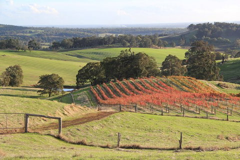 Ferguson Valley Full Day Tour - Gold Coast Attractions 0