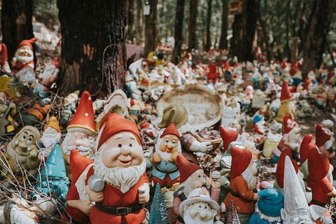 Ferguson Valley Full Day Tour - Gold Coast Attractions 7