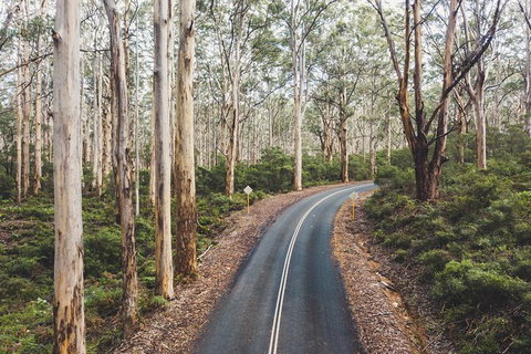 All Inclusive Surf Camp In Margaret River Region - Gold Coast Attractions 2