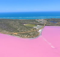 Pink Lake  Abrolhos Islands Nature Tour - Gold Coast Attractions