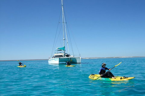 5 Night Ningaloo Reef Ningaloo Escape From Coral Bay - Gold Coast Attractions 0