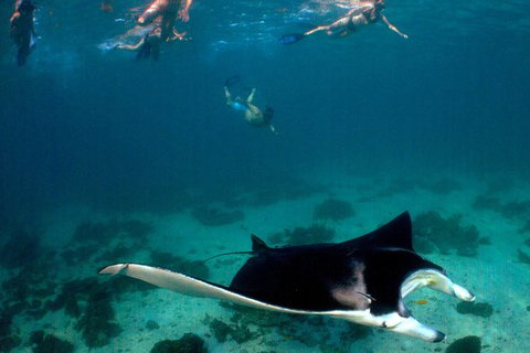 5 Night Ningaloo Reef Ningaloo Escape From Coral Bay - Gold Coast Attractions 1