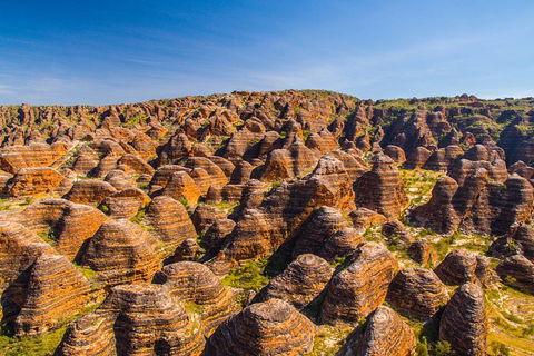 Bungle Bungle Explorer - Gold Coast Attractions 1