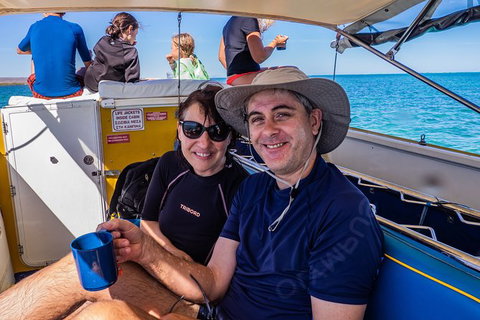 Ningaloo Immersion Private Charter - Gold Coast Attractions 7