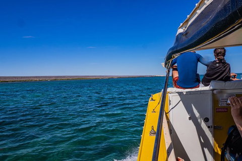 Ningaloo Immersion Private Charter - Gold Coast Attractions 0
