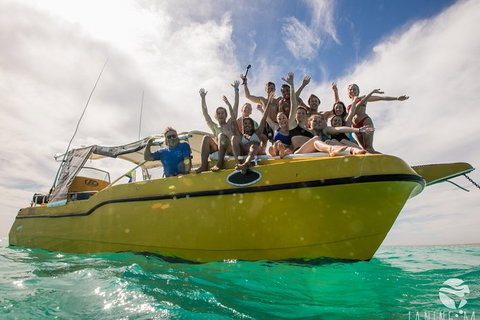 Ningaloo Immersion Private Charter - Gold Coast Attractions 9