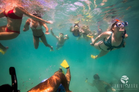 Ningaloo Immersion Private Charter - Gold Coast Attractions 8