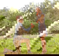 Romance Cruise  scenic Tour  beer tasting  3 course lunch  hamper - Gold Coast Attractions