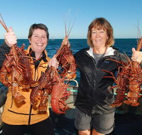Abrolhos Islands 5 Day Tours - Gold Coast Attractions