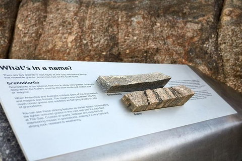 The Gap & Natural Wonders Guided Tour - Gold Coast Attractions 3