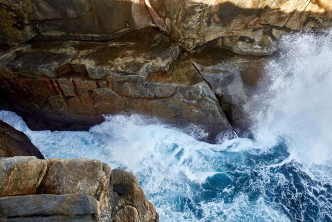 The Gap & Natural Wonders Guided Tour - Gold Coast Attractions 4