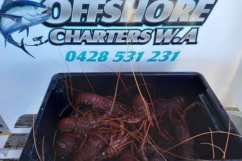 Lobster Fishing Tour At Geraldton - Gold Coast Attractions 0