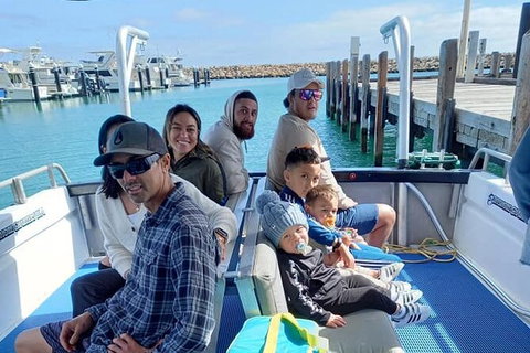 Whale Watching Boat Tour In Geraldton - Gold Coast Attractions 1