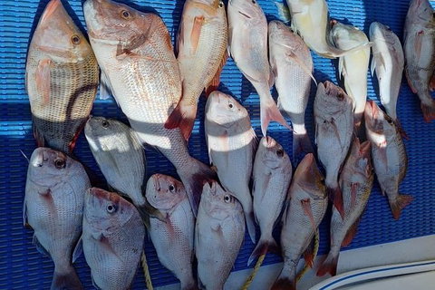 Geraldton Fishing Charter - Gold Coast Attractions 7