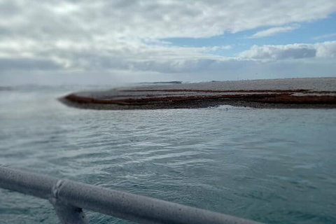 Abrolhos Islands Fishing Charter - Gold Coast Attractions 6