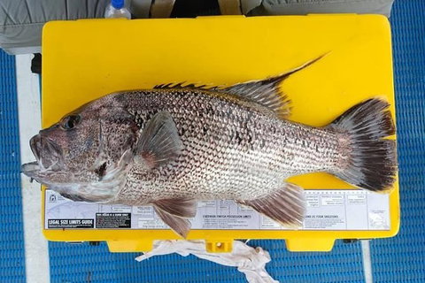 Abrolhos Islands Fishing Charter - Gold Coast Attractions 2