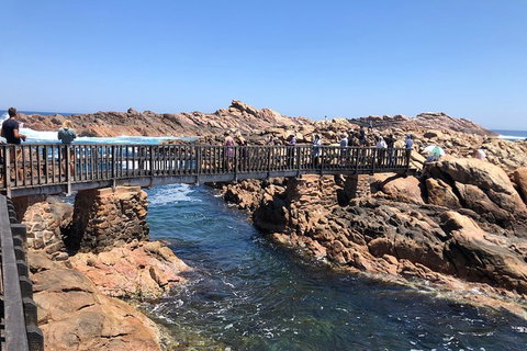 Full-Day Tour From Perth To Margaret River - Gold Coast Attractions 12