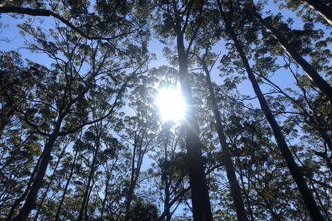 Full-Day Tour From Perth To Margaret River - Gold Coast Attractions 4